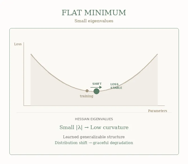 Figure 4a. FLAT MINIMUMSmall eigenvalues mean low curvature. The dot moves only horizontally — same shift, but no vertical swing. The loss stays stable because the curve is flat: moving left or right barely changes the height. This is what generalization looks like geometrically. The model found a wide valley where small perturbations don’t dramatically affect performance. Learned generalizable structure. Distribution shift → graceful degradation. GIF created by the author with Blender.