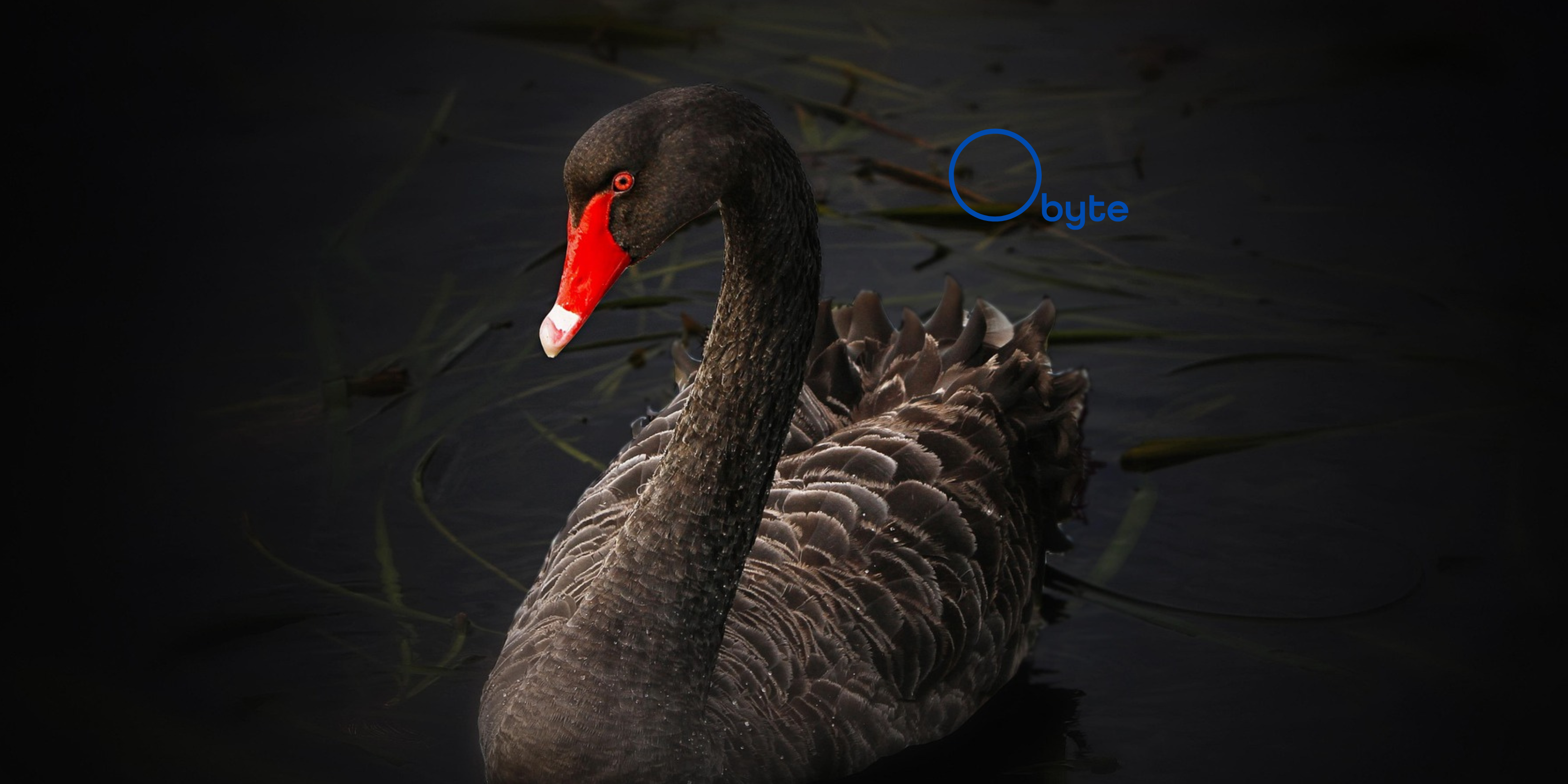 How to Prepare for the Next Crypto Catastrophe (Because It’s Probably Coming)