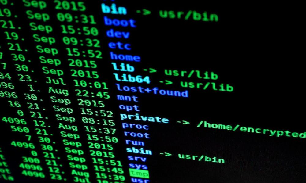 Essential Linux Commands for File and Directory Management