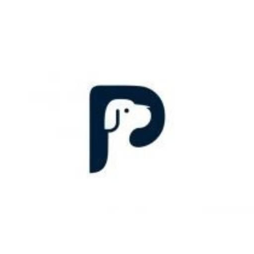 Author profile picture