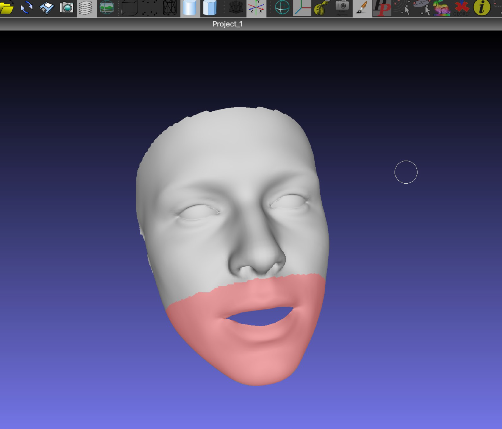 Behind the scenes: a 3D face