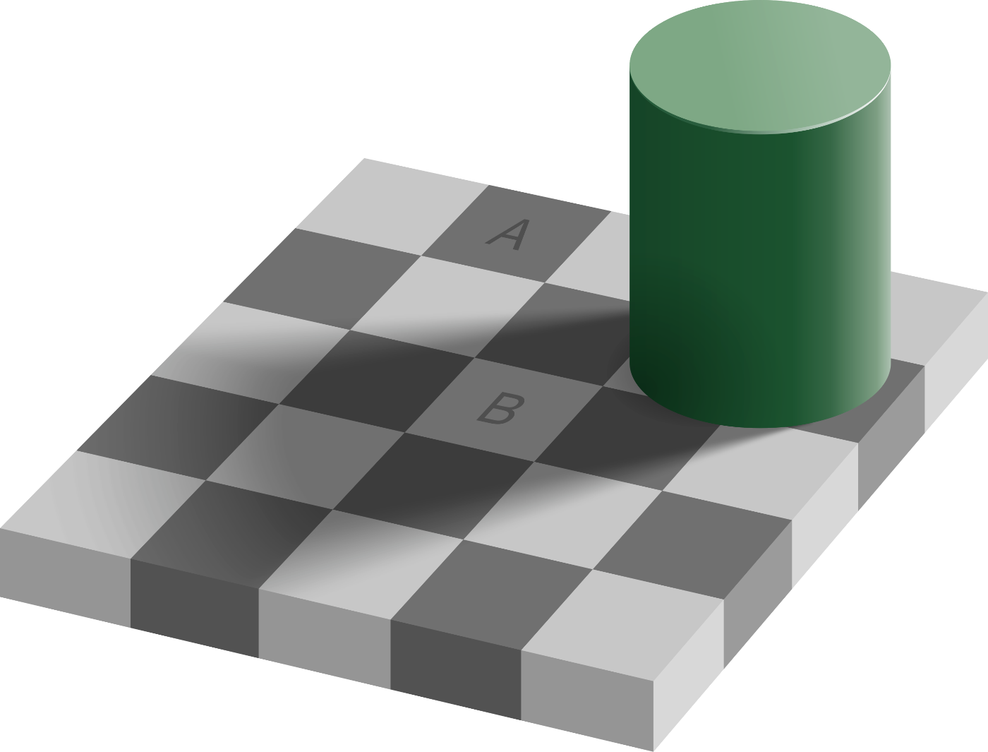 Squares A and B are actually the same color. However, the majority of people see square A as darker. Image source: Wikipedia.