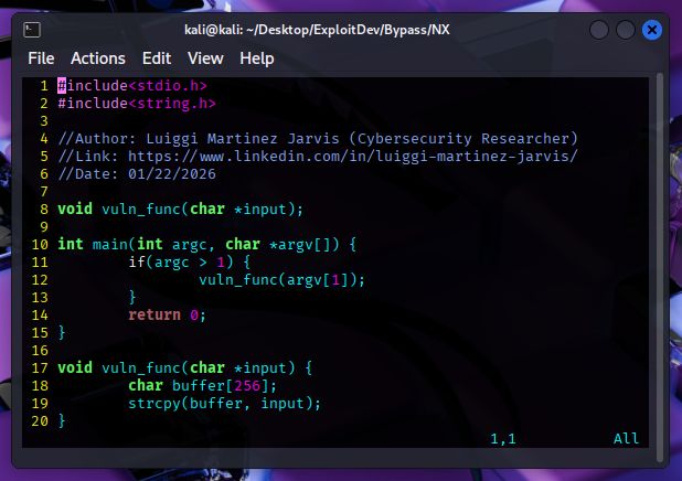 A vim screenshot with the vulnerable code.
