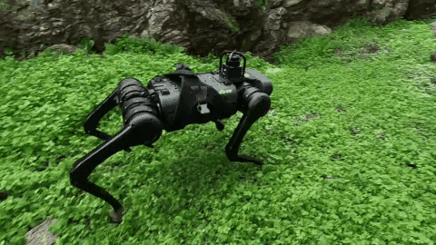 Legged Robot walking on a grass terrain