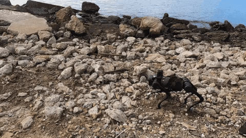 Legged Robot walking on a hilly region