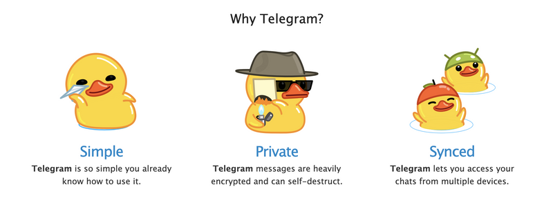 Screengrab from Telegram’s website advertising the privacy they offer users. Cezary reached out to Telegram with detailed examples of some of the conversations he discovered, and the company did not respond to his queries. But shortly after he reached out, ten of the channels he had asked about went dark, with a message posted saying that they had violated Telegram’s terms of service. Credit: ProPublica screengrab from Telegram
