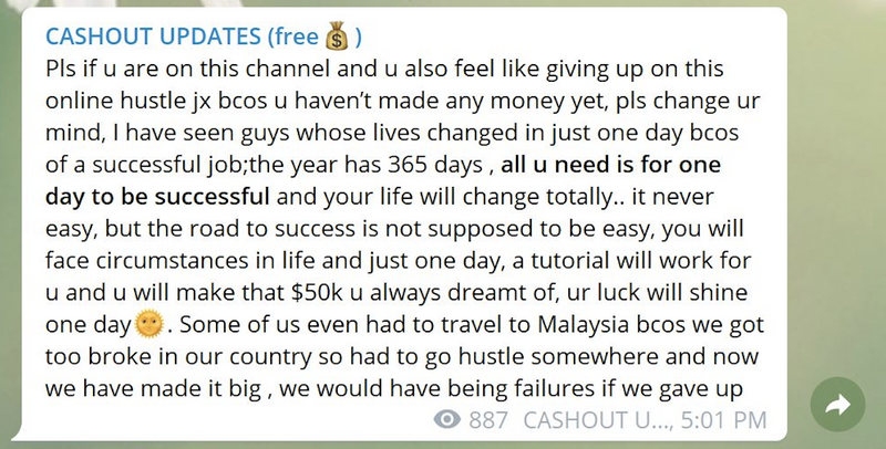 A message on Telegram encouraging fraudsters that they only need one lucky day to be “successful.” Credit: ProPublica screengrab from Telegram