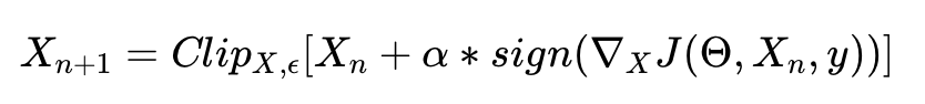Iterative fast gradient sign formula