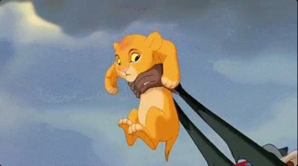 Credit: The Lion King via Giphy