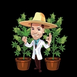 Author profile picture