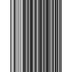 IronBarcode output