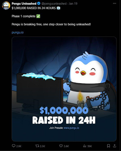 Pengu Unleashed Enters The Meme Coin Market With a Purpose