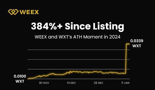 WEEX 2024 Annual Report: Over 5 Million Users, Daily Trading Volume Exceeds $5 Billion, Team Expands