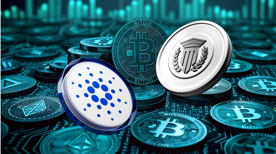 Mutuum Finance Presale Momentum