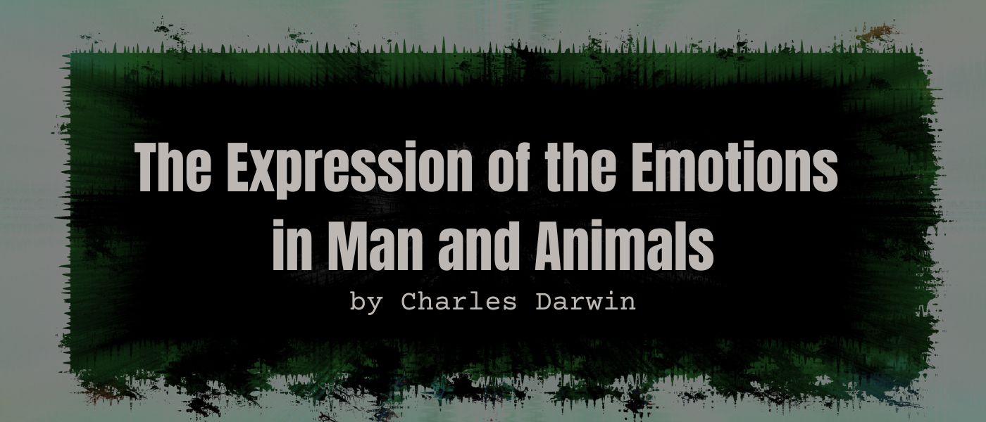 GENERAL PRINCIPLES OF EXPRESSION—concluded.