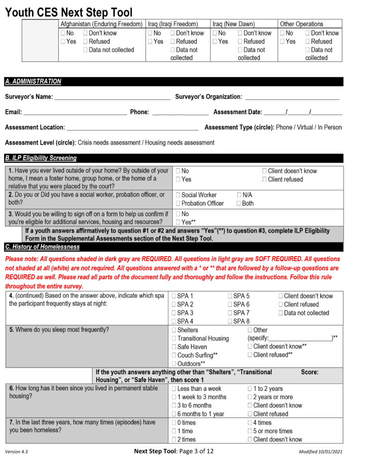 Screenshot of Page 3 of LAHSA's Youth CES Next Step Tool survey
