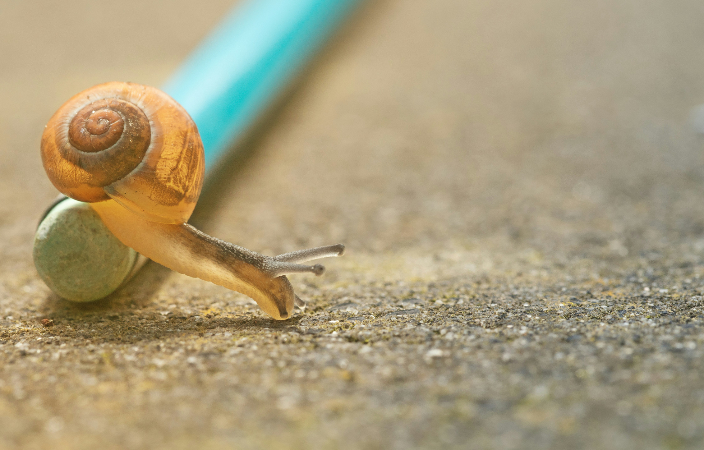 How to Find Out If You're Paying for Slow Internet