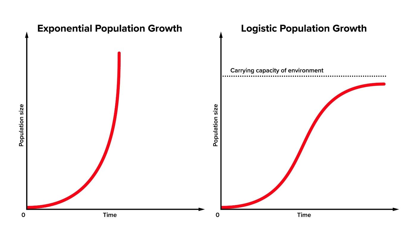 Further visualized data, the featured image indicates shortage but shortage means ration not starvation