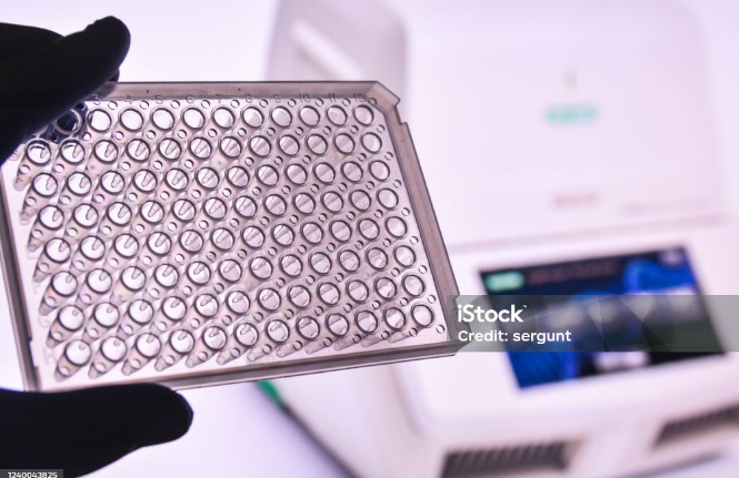 Engineering Health Equity: How Rohit Kadam Is Using Biotech to Close the Gaps in Global Diagnostics