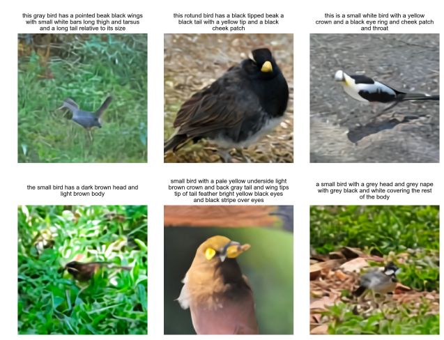 Figure 8. Zero-shot samples from our model on the CUB dataset.