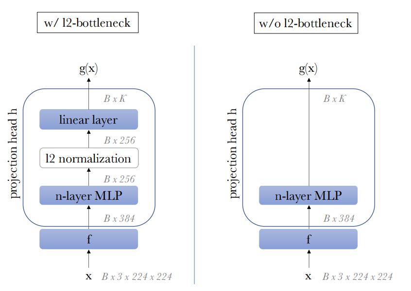 Figure 9: Projection head design w/ or w/o l2-norm bottleneck.