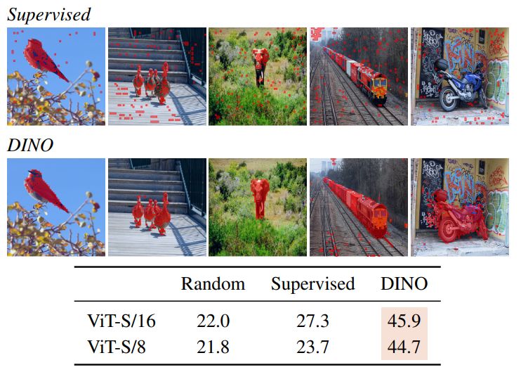 Figure 4: Segmentations from supervised versus DINO. We vi-sualize masks obtained by thresholding the self-attention maps to keep 60% of the mass. On top, we show the resulting masks for a ViT-S/8 trained with supervision and DINO. We show the best head for both models. The table at the bottom compares the Jac-card similarity between the ground truth and these masks on the validation images of PASCAL VOC12 dataset.