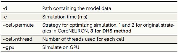 Table 1 Usage options for DHS-embedded CoreNEURON
