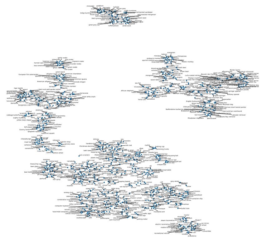 Figure 11: t-SNE visualization of ImageNet classes as represented using DINO. For each class, we obtain the embedding by taking the average feature for all images of that class in the validation set.