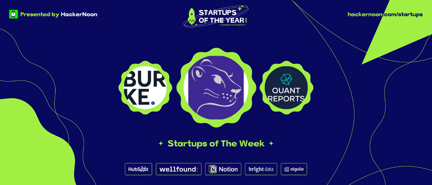 Meet Burke Cybersecurity Consulting, Good Lioness, & Quant Reports: HackerNoon Startups of The week