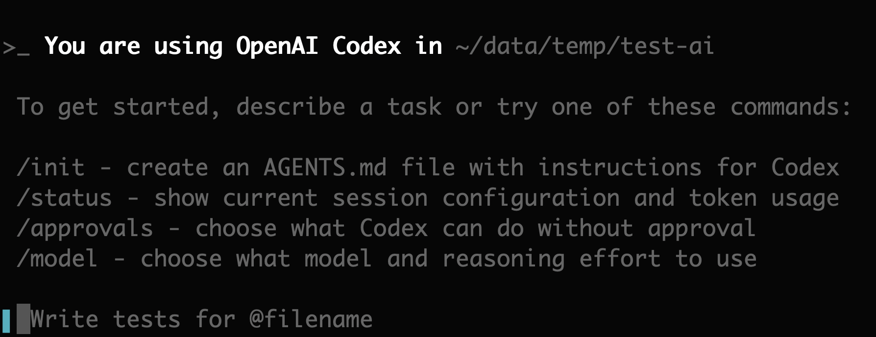 The Limits of LLM-Generated Unit Tests