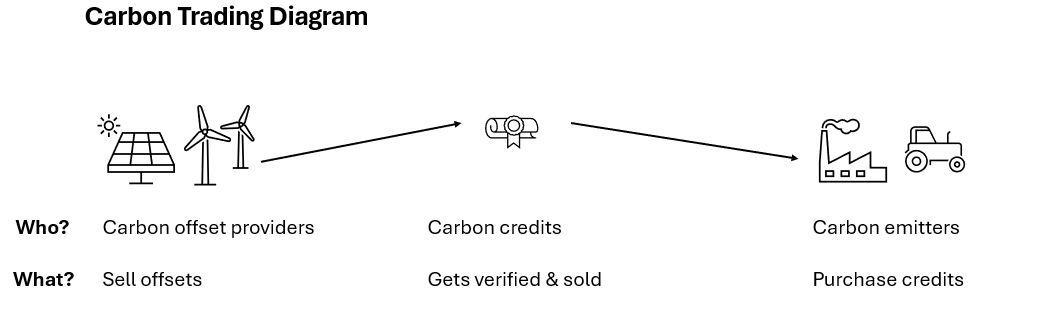 Diagram shows how carbon credits are produced, verified and sold in the market