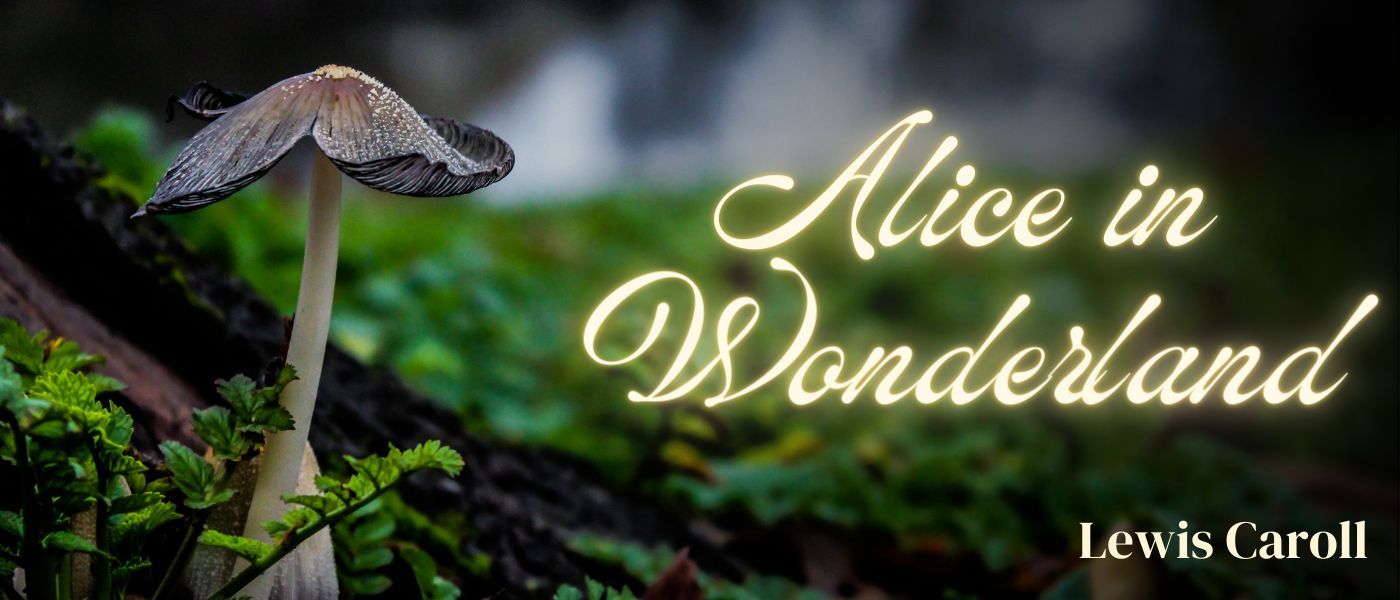 Alice’s Evidence