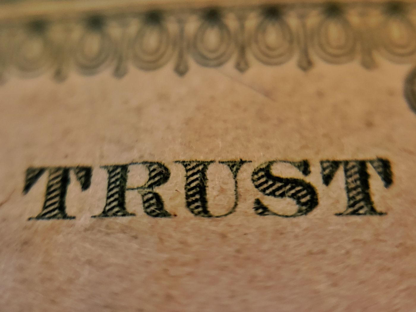 Is the World Ready for a Trustless Economy?