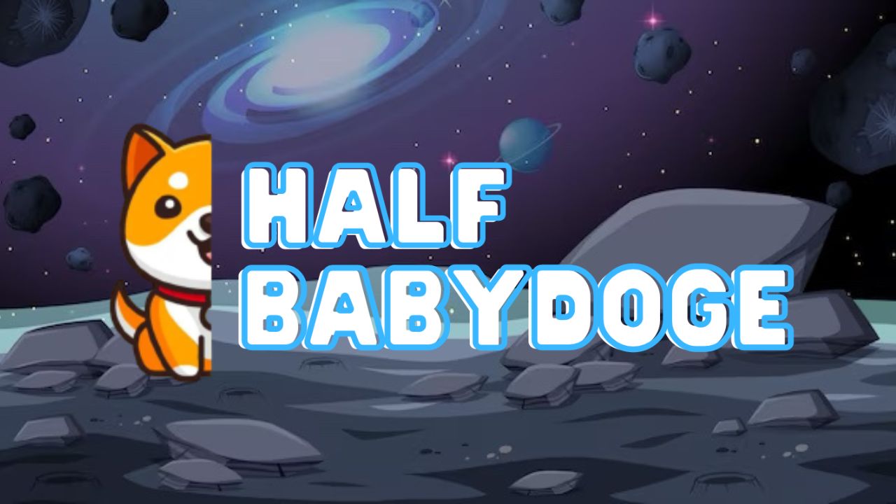 How Half Baby Doge Coin Is Popularizing Crypto Charity Through the Biggest Memecoin Communities