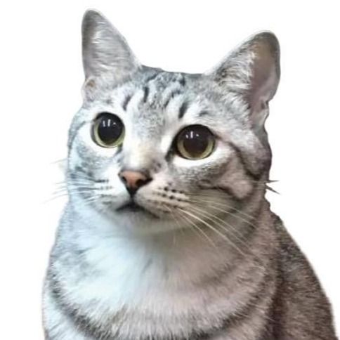 Author profile picture