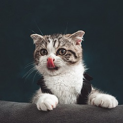 Author profile picture