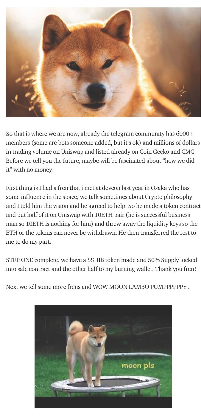 $SHIB: My Journey Through the Deepest Recesses & High Command of a $10  Billion Decentralized Army | HackerNoon