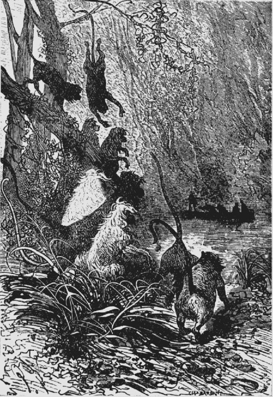 DENIZENS OF THE FOREST