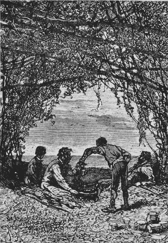 THE VERANDAH ON THE EDGE OF PROSPECT HEIGHTS