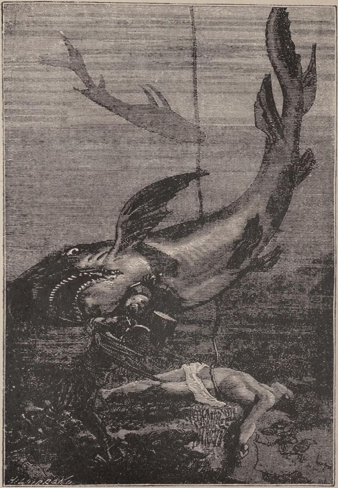 A terrible combat began