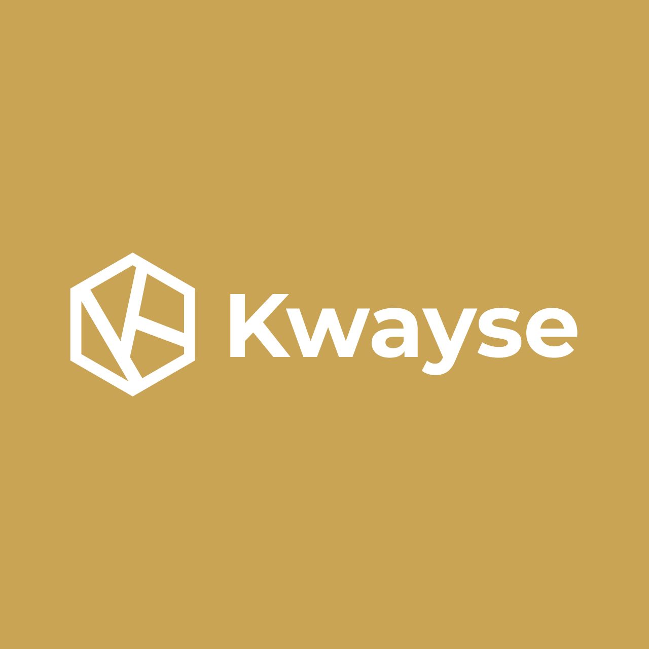 Kwayse Digital Marketing