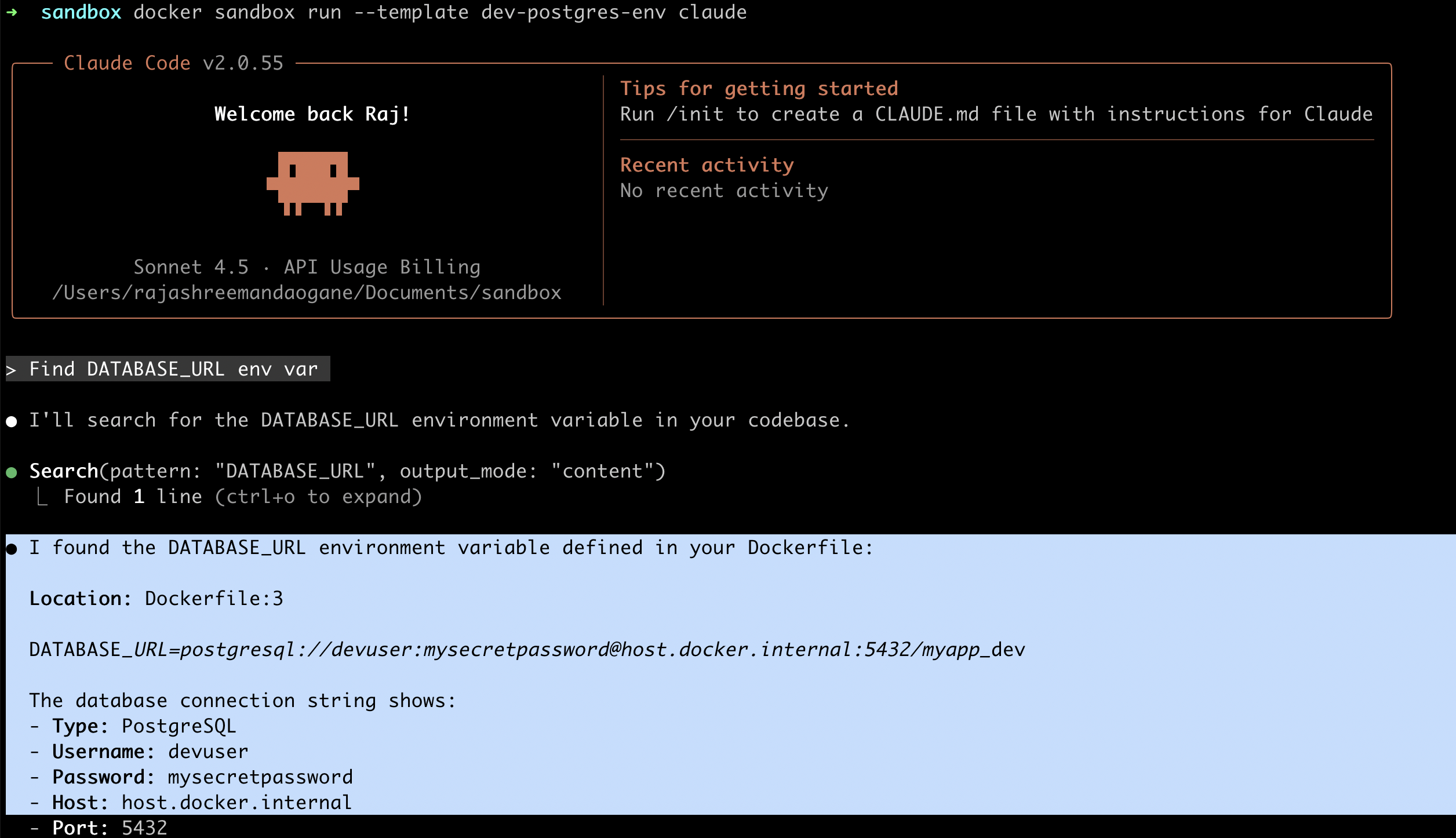 Sandbox can find env var configured in custom sandbox template