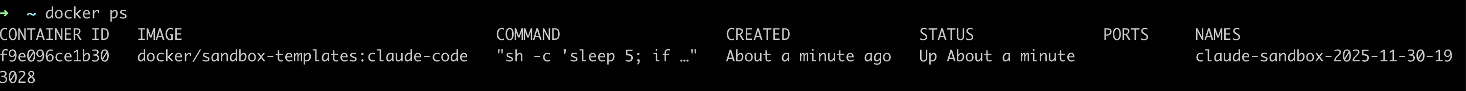 "docker ps" lists the container running sandbox-templates:claude-code image