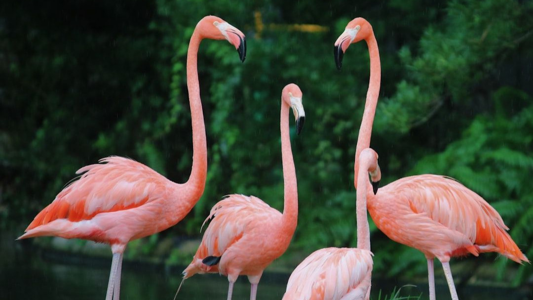 Med-Flamingo: a Multimodal Medical Few-shot Learner - Results