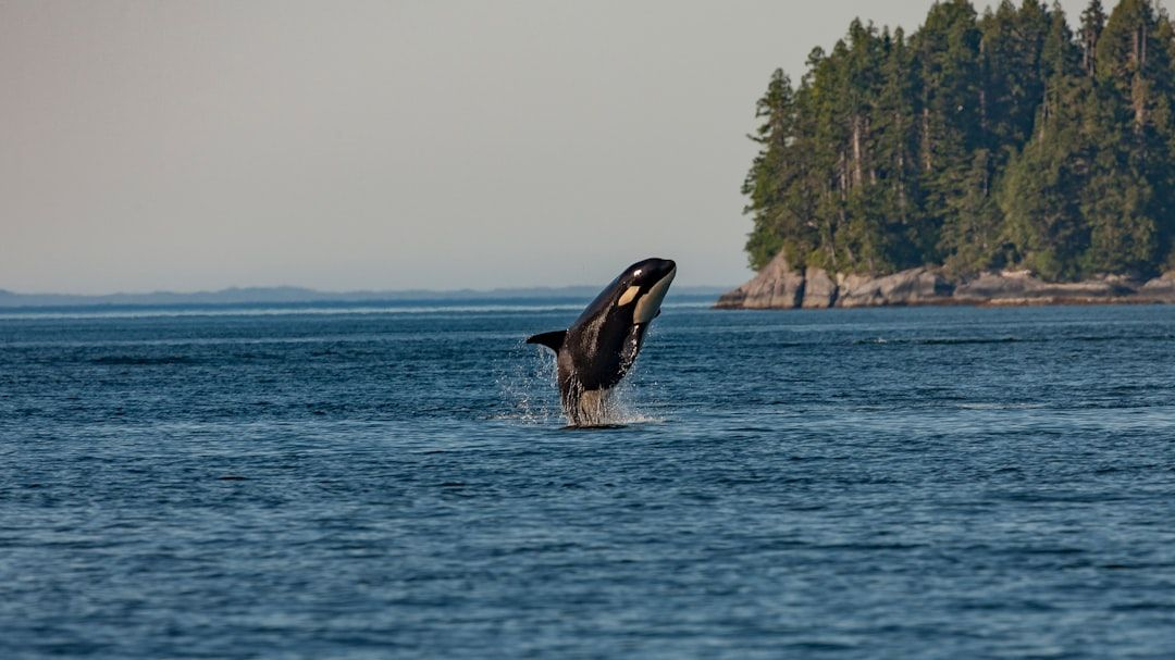 Orca 2: Enhancing Reasoning in Smaller Language Models - Conclusions and References