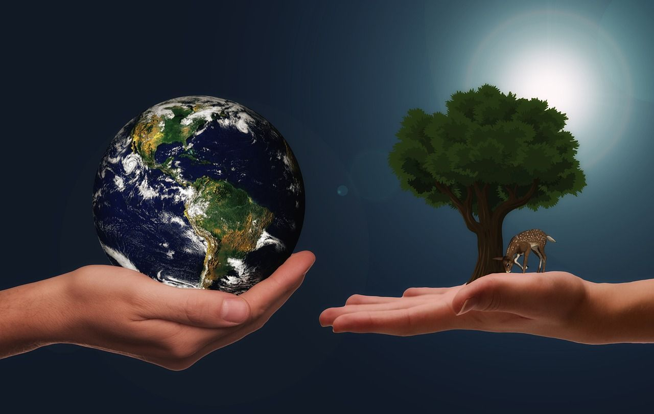 Building For Earth's Future Amidst Climate Crisis
