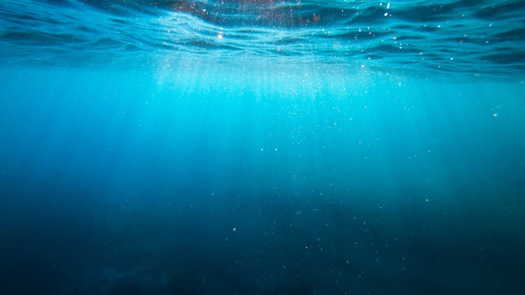 Real-Time Anomaly Detection in Underwater Gliders: Conclusion and References