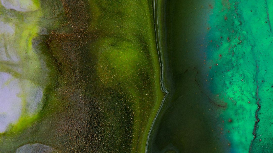 Microbial Dynamics: How Light-Driven Chemotaxis Creates an Algae-Bacteria Tug-of-War