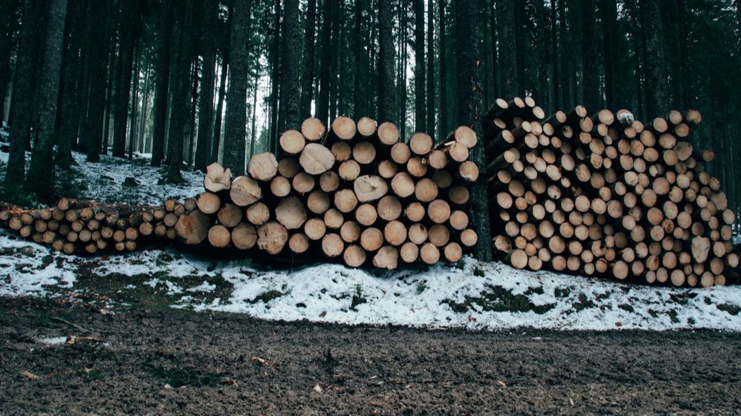 Maximizing Log Value with AI: 8 Ways to Revolutionize DevSecOps Monitoring