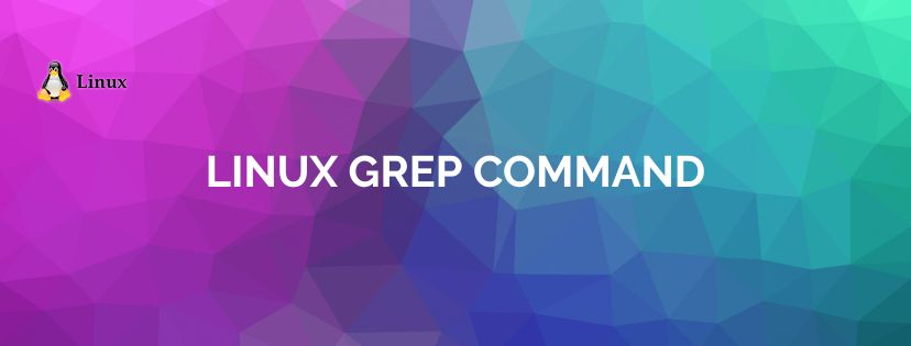 Making Text Searches Easy With Linux Grep Commands